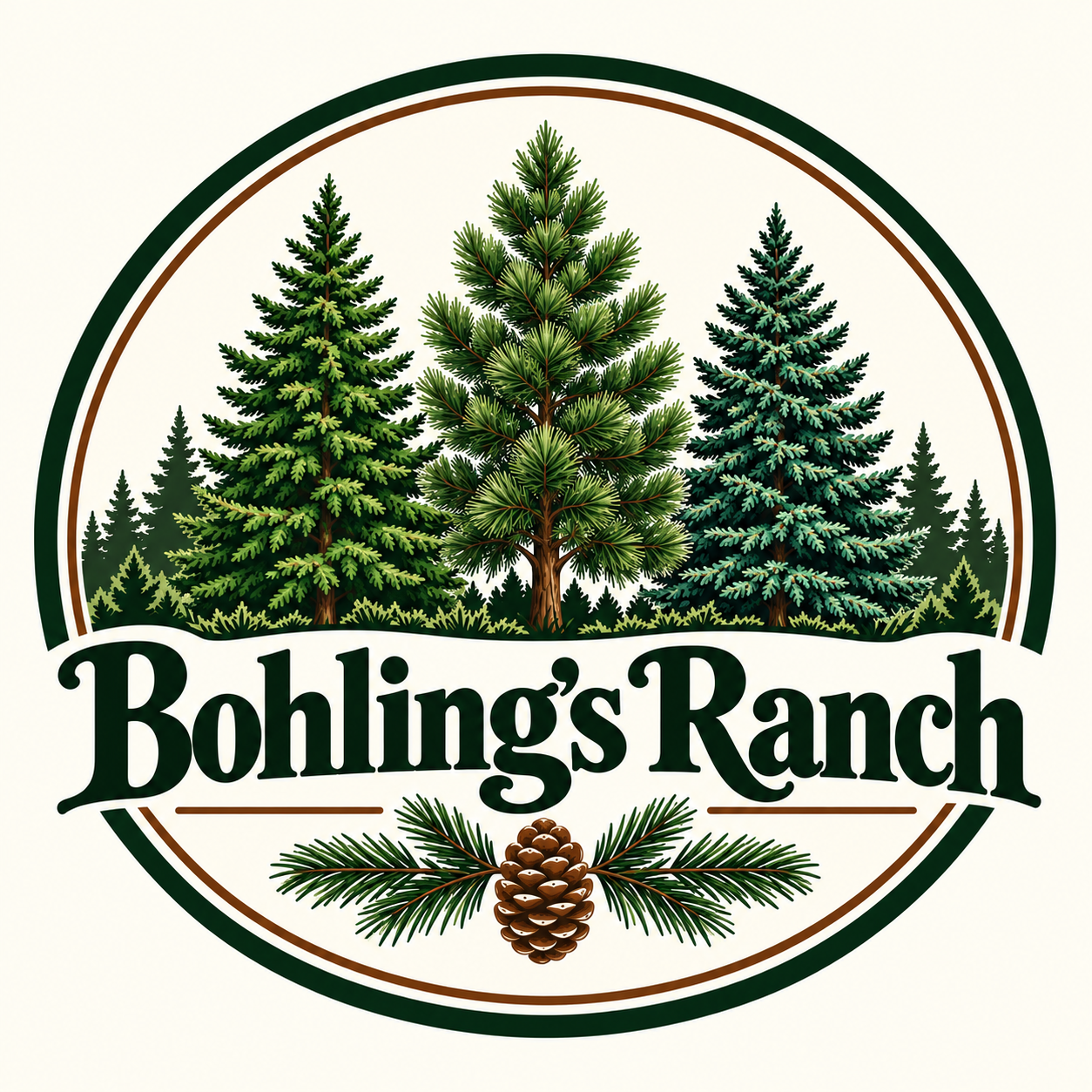Bohling's Ranch logo